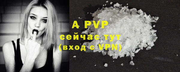 гашик Карталы