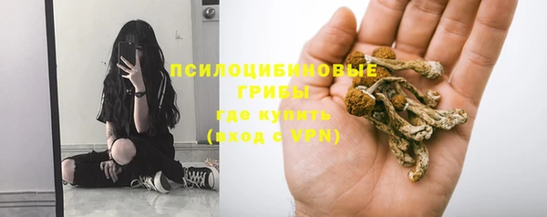 гашик Карталы