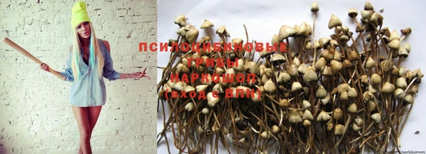 гашик Карталы