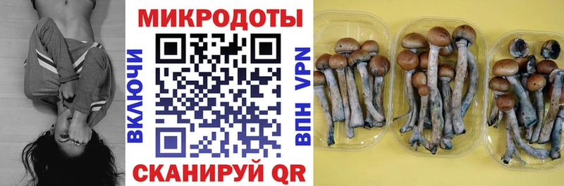 Галлюциногенные грибы мухоморы  Купить закладки  Сковородино 